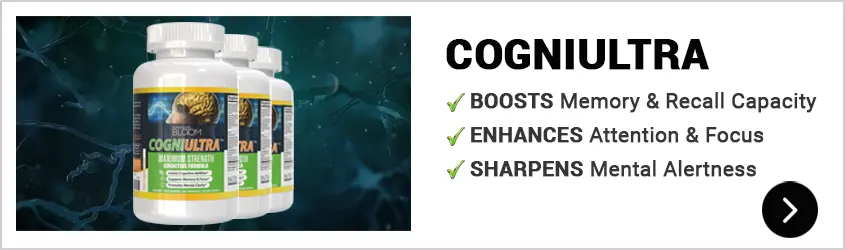 Memory Supplement