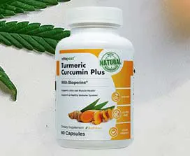 turmeric curcumin plus