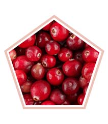 Cranberry Extract: