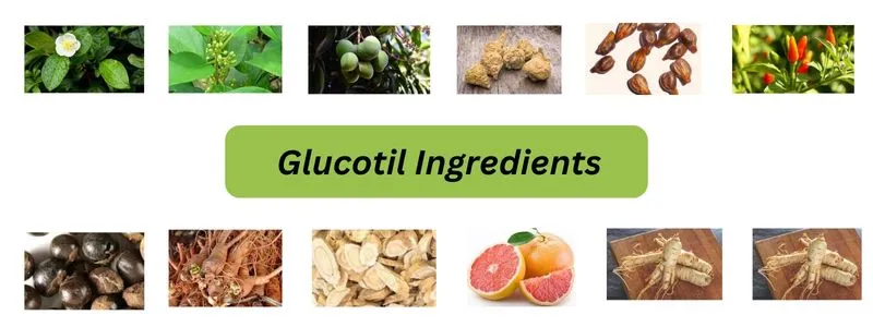 Glucotil Ingredients