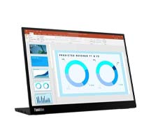 Lenovo ThinkVision M14d