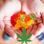 Proper CBD Gummies Review – Is it Safe or Should You Be Concerned?