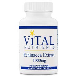 Vital-Nährstoffe---Echinacea-Extrakt