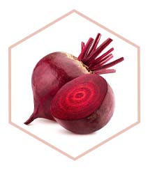 Beetroot Extract