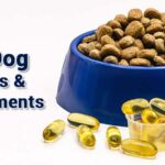 Best Dog Vitamins & Supplements 2026