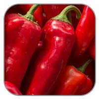 Cayenne Pepper Fruit Extract