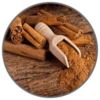 Cinnamon Bark Extract