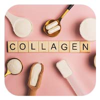 Collagen hydrolyzed