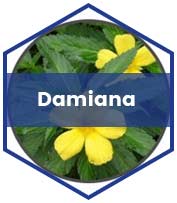 Damiana