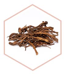 Dandelion Root