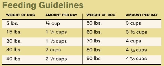 Feeding Guidelines