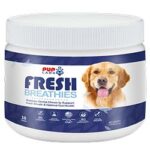 Fresh Breathies: Your Ultimate Solution for Instant Freshness and Confident Smiles!