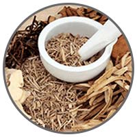 Ginger Rhizomes Extract: