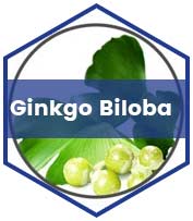 Ginkgo Biloba