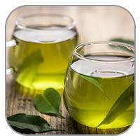 Green Tea Extract