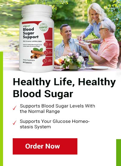 VitaPost Blood Sugar Support