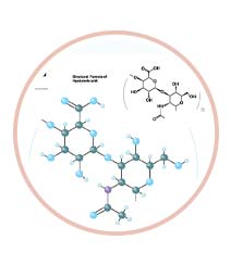 Hyaluronic acid