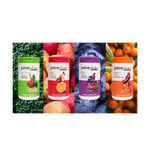 Juice Plus: Fuel Your Body with Nutrient-Rich Supplements for a Healthier You