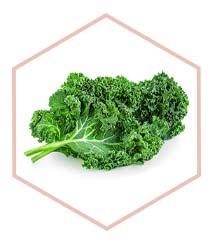 kale