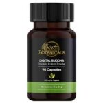 Kat’s Botanicals: Nurturing Wellness Through Nature’s Bounty