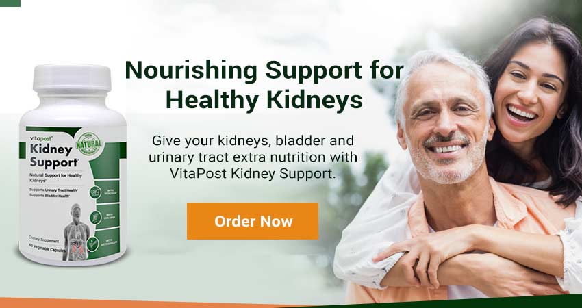 VitaPost Kidney Support