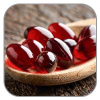 Krill Oil