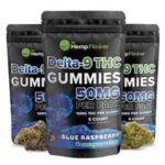Legal Delta-9 THC Gummy Review – Is This Gummies  Worth Trying?