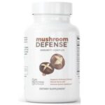 Boost Your Immune System with Mushroom Defense: A Comprehensive Overview and Benefits