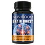 Mushroom Brain Boost Review – Does This Product Really Work?