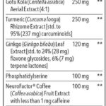 NeuroQ Reviews – Read This Before You Purchase!