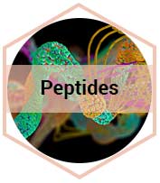 Peptides