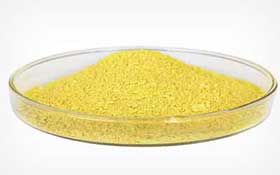 Quercetin Dihydrate