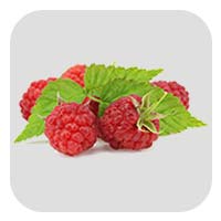 Raspberry Ketones