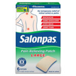 Salonpas Pain Relief Patch Reviews – Does This Product Really Work?