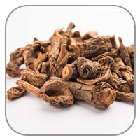 Sarsaparilla Root Extract