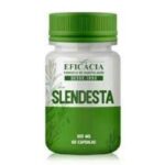 Slendesta Review – How Does This Weight Loss Product Work?