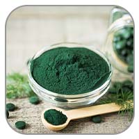 Spirulina