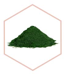 spirulina