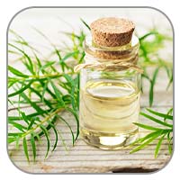 Tea Tree Oil