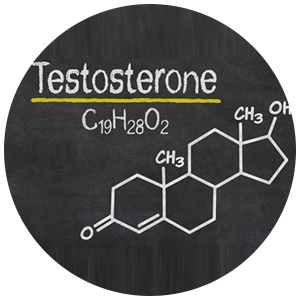 Testosterone